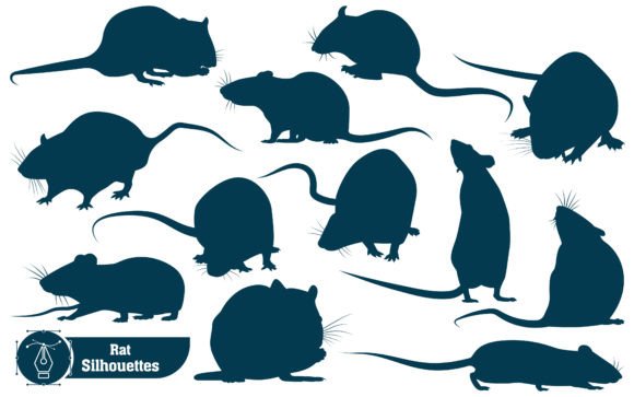 Animal Rat Silhouettes Vector: A Guide for Creative Projects