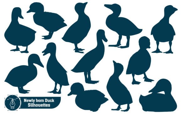 Farm Animal Newly Born Duck Silhouette: A Whimsical Creative Asset